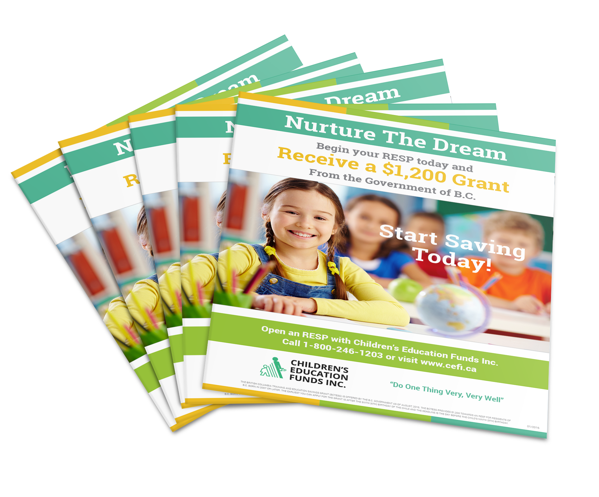Graphic Design - Collateral Material - Marketing